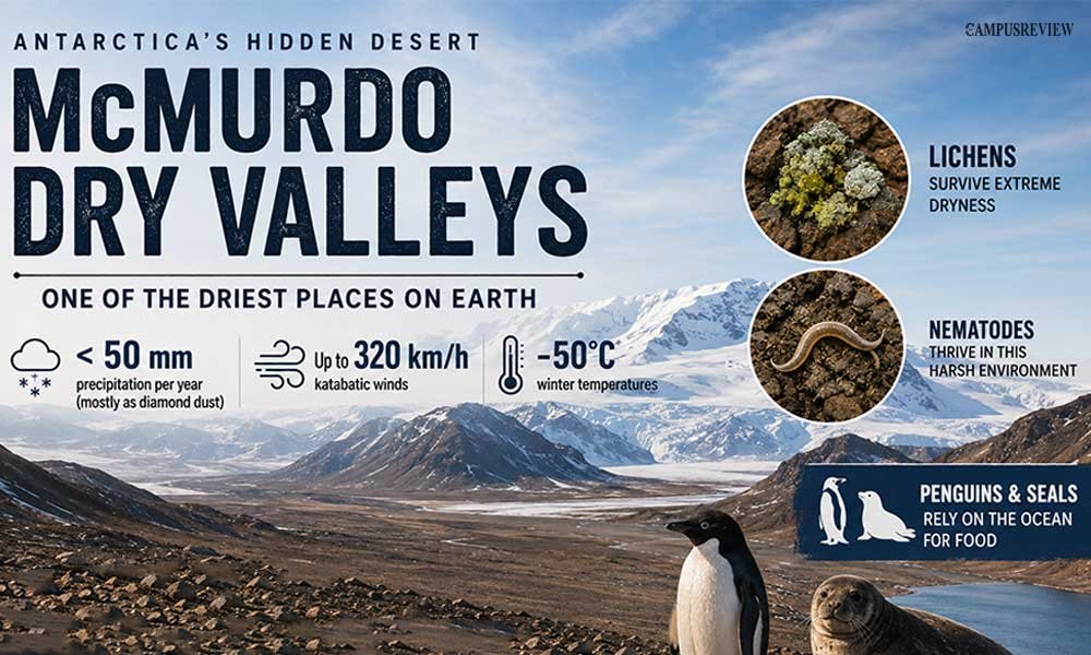 Antarctic Desert