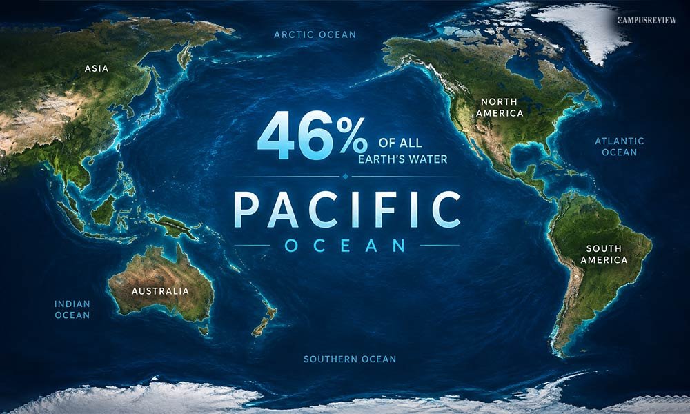 What Is the Largest Ocean in the World?