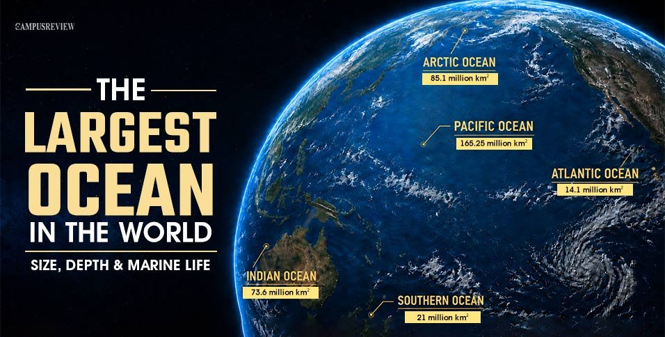 What Is the Largest Ocean in the World? Pacific Ocean and the Five Oceans Explained 