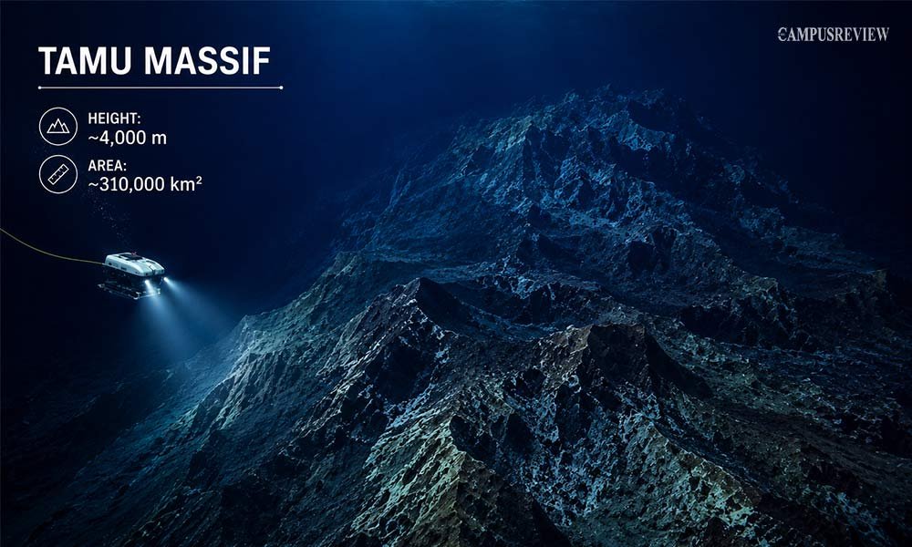 Tamu Massif