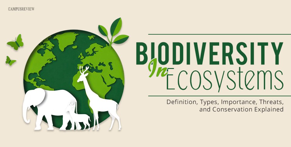 Biodiversity in Ecosystems: Definition, Types, Importance, Threats, and Conservation Explained