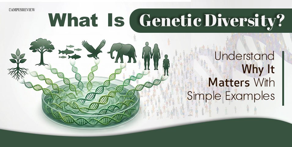 What Is Genetic Diversity? Meaning, Examples, Importance, and Why Species Need It