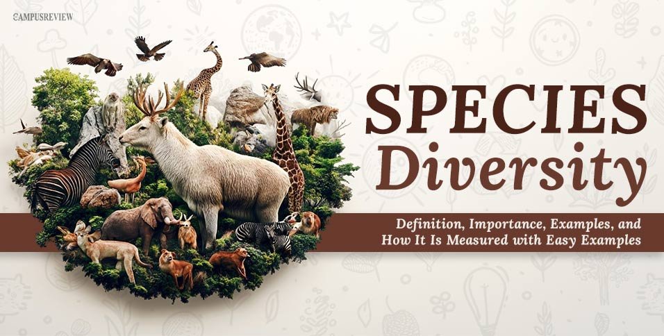 Species Diversity: Definition, Importance, Examples, and How It Is Measured with Easy Examples