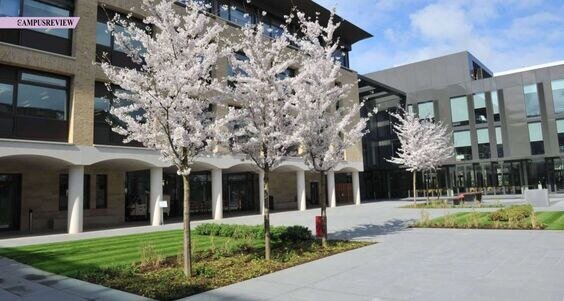 St Paul’s School: Where Intellectual Curiosity Becomes a Way of Life