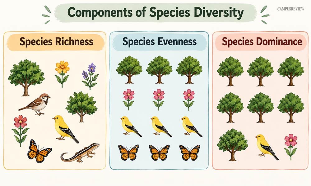 Components of Species Diversity
