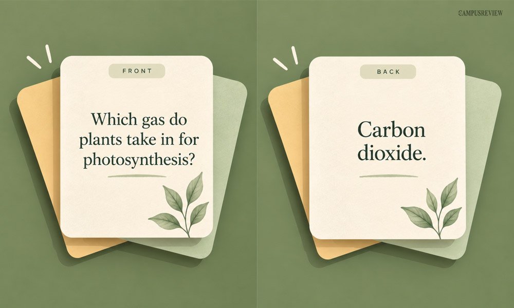 Flashcards