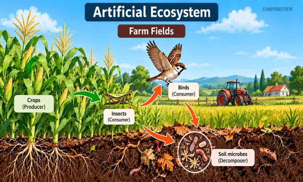 What Are Artificial Ecosystems?