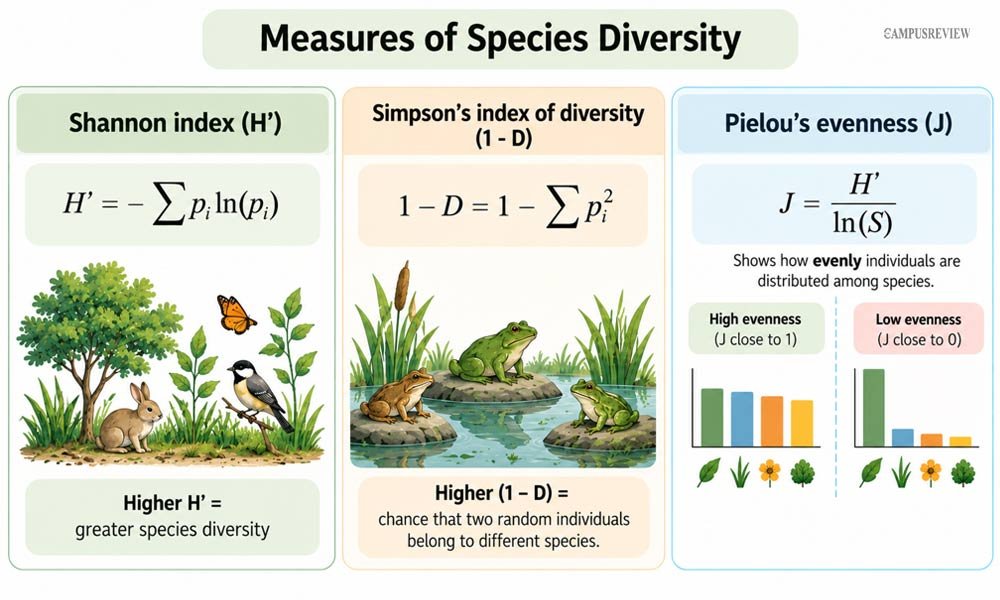 How Is Species Diversity Measured?