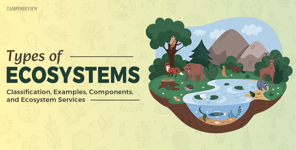 Types of Ecosystems: Classification, Examples, Components, and Ecosystem Services
